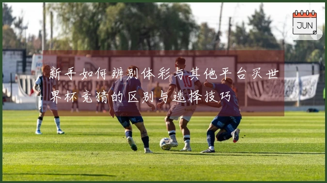 新手如何辨别体彩与其他平台买世界杯竞猜的区别与选择技巧